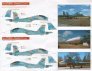 1/72 Belarusian Flankers (Su-27s of the 61st Fighter Air Base, B image 2