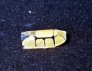 Dead Design Models Masque P-51B/C Mustang 1/144 image 2