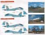 1/32 Belarusian Flankers (Su-27s of the 61st Fighter Air Base, B image 2