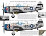 1/48 P-47D Razorback Double D Jugs Pt2 image 1