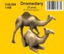 1/48 2x Dromedary