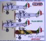 1/72 Fiat C.R.20B Bicomando Italian Service image 1