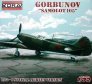1/72 Gorbunov Samolot 105 (inj.kit+resin parts)