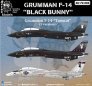1/48 Grumman F-14 Tombat Black Bunny