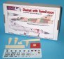 1/48 Shahak w/ Tarmil nose (Conv. for Mirage IIIC)