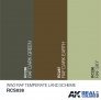RAF temperate land scheme colors set image 1