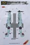 1/72 Decals Bf 109G Captured (REV) Part II.