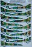 1/72 Decals MiG-23UB Flogger C (20x camo) image 2