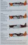 1/72 MS-406C.1 Red&Yellow Stripes image 1