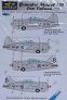 1/48 Decals Brewster Model 239 over Finland (TAM)