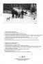 Art Scale Bf-109D Nightfighters Decals 1/48 image 1