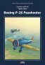Boeing P-26 Peashooter Fighter Plane