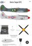 1/48 Hawker Tempest Mk.II