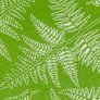 Laser Cut Backen Fern Plant image 3