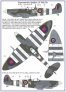 1/32 Supermarine Spitfire Mk.IXC. DU-N & NN-N image 1