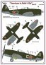 1/32 Americans in Stalin SkyPart VI P-39N & P-47D