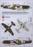 1/32 Masks P-40B/C Americans in Stalin Sky Part I. image 1