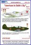 1/32 Masks P-40C&P-39N Americans in Stalin Sky V.