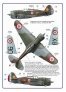 1/48 Decal A.Vasatko CZ Fighter Wing RAF image 3