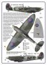 1/48 Decal A.Vasatko CZ Fighter Wing RAF image 5