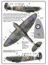 1/48 Decal A.Vasatko CZ Fighter Wing RAF image 6