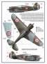 1/48 Decal A.Vasatko CZ Fighter Wing RAF image 7
