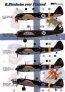 1/48 Blenheims over Finland Mk.I  BL-111, BL-117, BL-189, BL-201