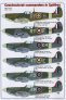 1/48 Decals Czechoslovak commanders in Spitfires