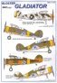 1/72 Gloster Gladiator (7) GL-273 1/LeLv 16 Haarajarvi