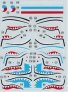 1/72 Decals Curtiss Hawk 81-A2 (China AF, 6x camo) image 2