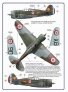 1/72 Decal A.Vasatko CZ Fighter Wing RAF image 3