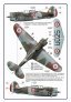 1/72 Decal A.Vasatko CZ Fighter Wing RAF image 4