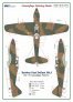 1/48 Defiant Mk.I A Camouflage Patterns image 2
