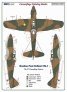 1/48 Defiant Mk.I B Camouflage Patterns image 1