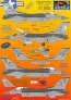 Astra Decals F-16C Aviano 1/48 - 3 livree maggio 2000