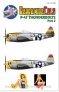 1/32 Republic P-47D Thunderbolt Bubble