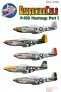 1/72 P-51D Mustangs of the 8th AF