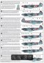 1/48 Yakovlev Yak-9 Decal image 7