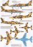 1/48 African Air Forces Dassault-Brguet Dornier Alpha Jets image 1