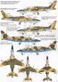 1/48 African Air Forces Dassault-Brguet Dornier Alpha Jets image 2
