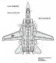 Decals F-14 Tomcat Low Visibility Data 1/32 image 1