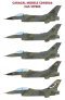 1/48 F-16 CAS Vipers