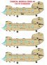 1/48 Boeing CH-47 Chinook Multiple international marking options