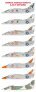 1/48 US Navy Douglas A-4E/F Skyhawk