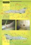 1/32 Mikoyan MiG-21 Polish Stencils image 1