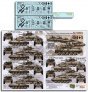 1/35 3-73 AAR M551A1 TTSs IN OPERATION DESERT STORM