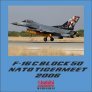 1/72 F-16C Nato Tigermeet 2006 Special Tail Art image 5