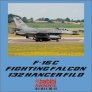 1/48 F-16C Fighting Falcon 132 Hancer Sq