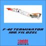 1/72 McDonnell F-4E Phantom Terminator 100 Years Special Scheme