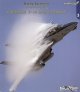 Uncovering the Grumman F-14A/F-14B/F-14D Tomcat